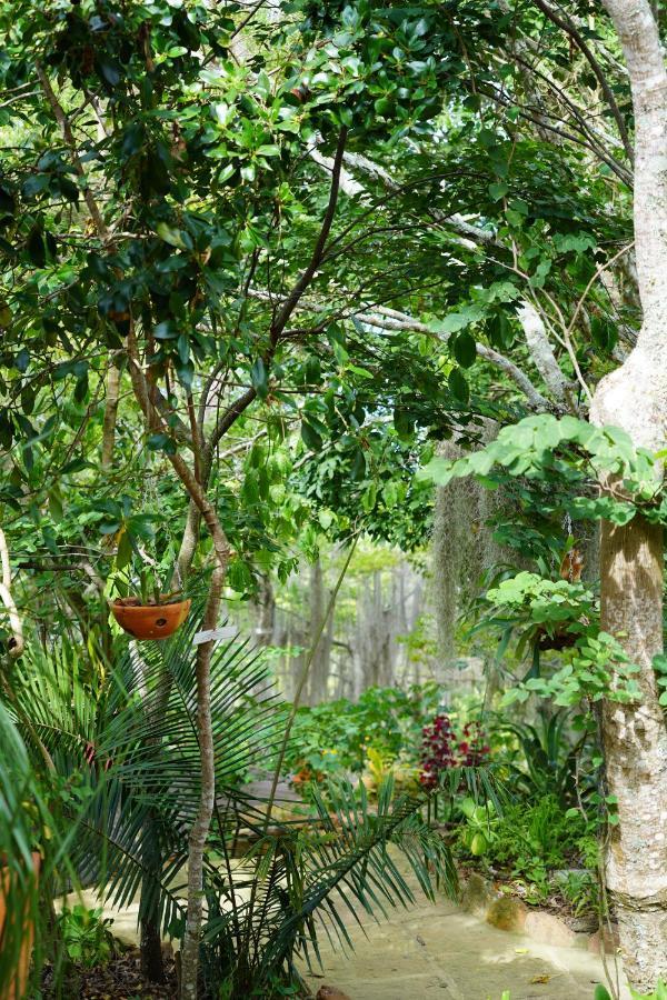 בריצ'ארה El Paraiso Posada Finca San Vicente מראה חיצוני תמונה