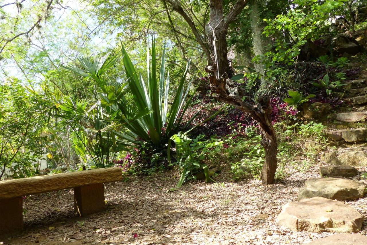 בריצ'ארה El Paraiso Posada Finca San Vicente מראה חיצוני תמונה